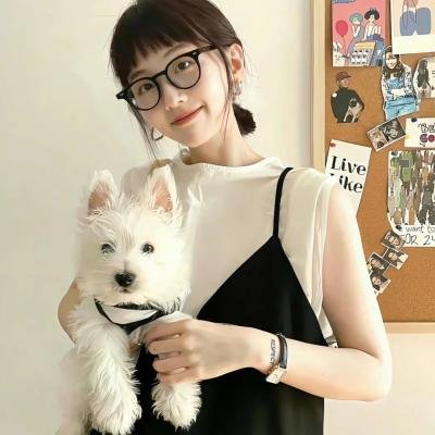 圣经故事